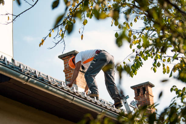 Trusted Wayne, IL Roofing Contractor Experts