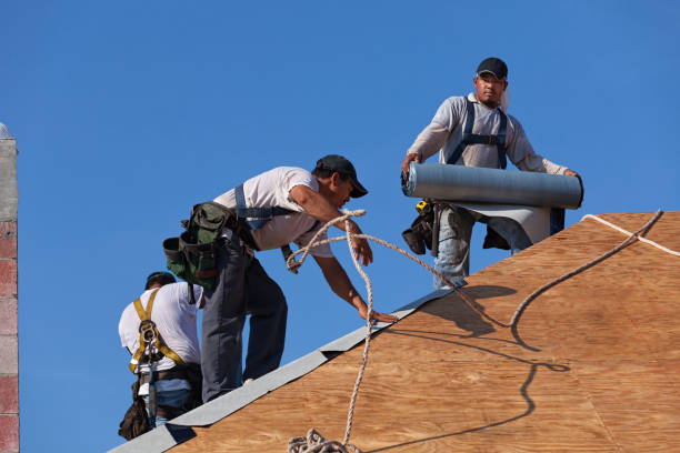 Quick and Trustworthy Emergency Roof Repair Services in Wayne, IL