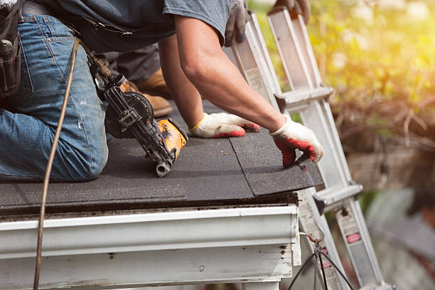 Best Flat Roof Repair Services  in Wayne, IL